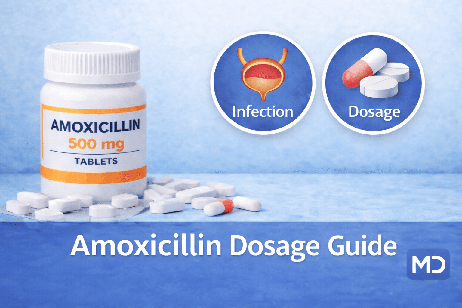 Amoxicillin Dosage for Bladder Infection: What Adults Need to Know infographic